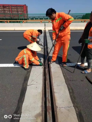 羊城晚报记者独家对话高速管理方：全线伸缩缝已全面“体检”
